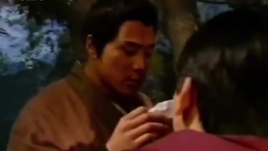 惊了!第一次知道98版水浒传里,丁海峰饰演的武松打的是真老虎